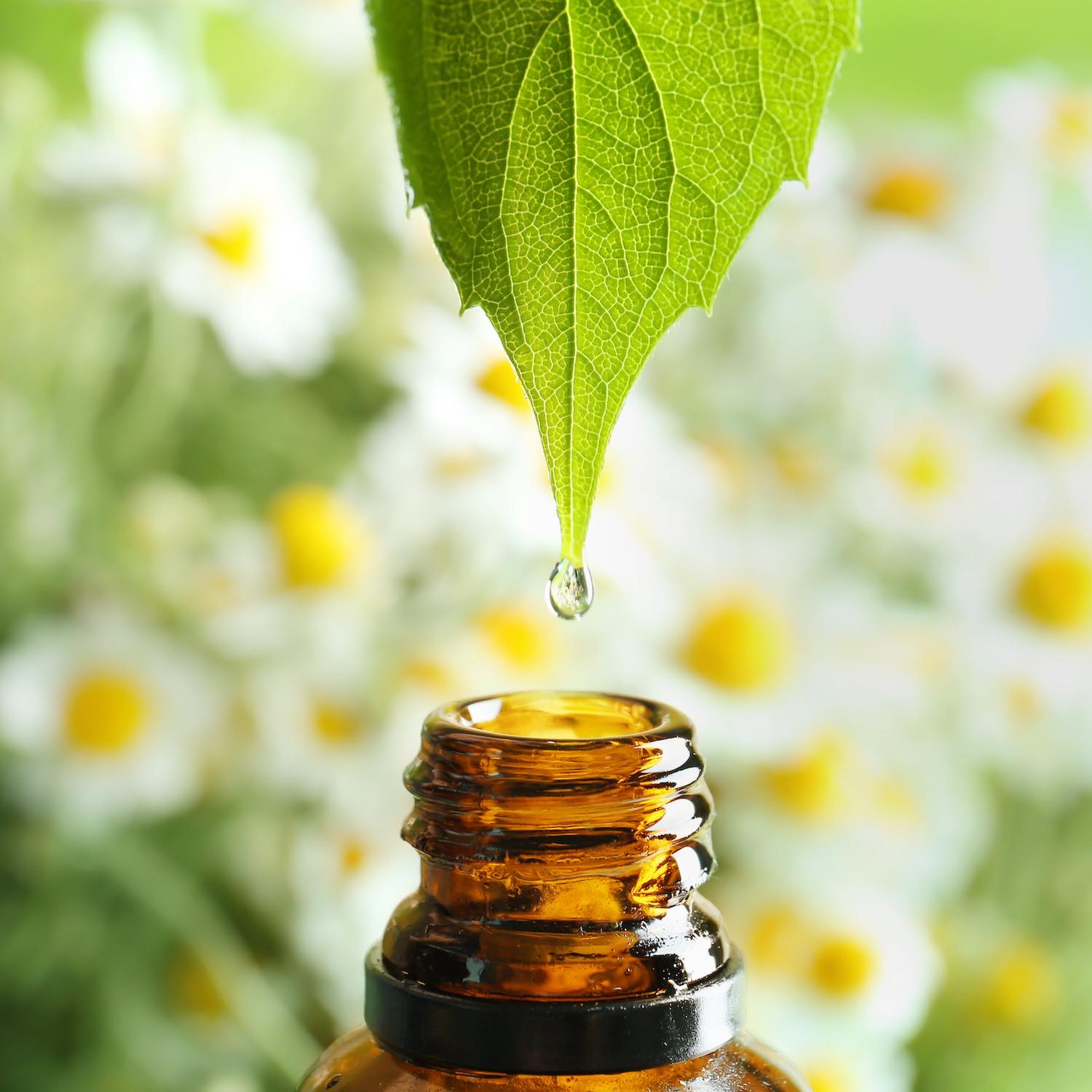 Aromathérapie Pharmacie des Capucins